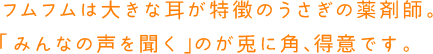 フムフムは大きな耳が特徴のうさぎの薬剤師。「みんなの声を聞く」のが兎に角、得意です。